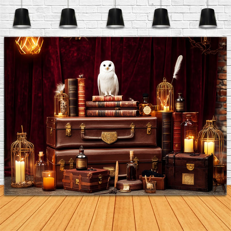 Toile de fond Vintage Rétro Hibou Mystique Livres LXX57-192