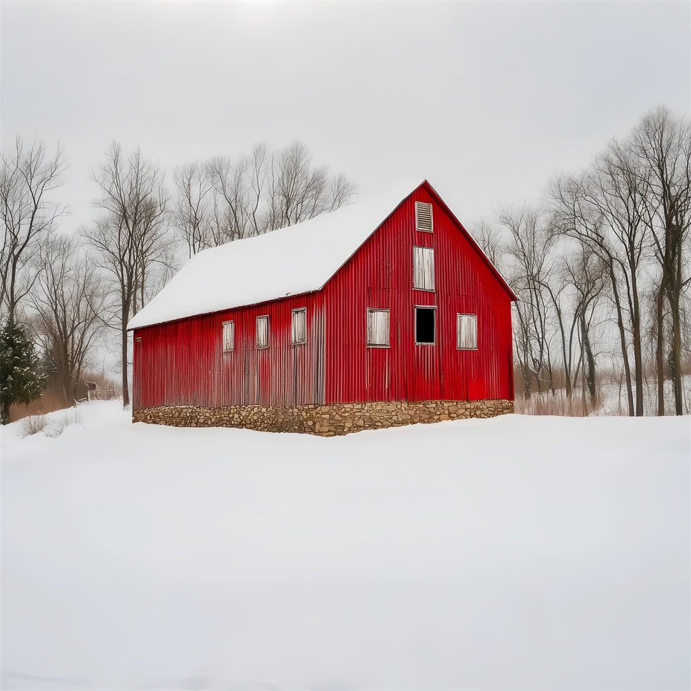 Toile de fond Grange Rouge Grange Champ de Neige Rustique LXX57-381