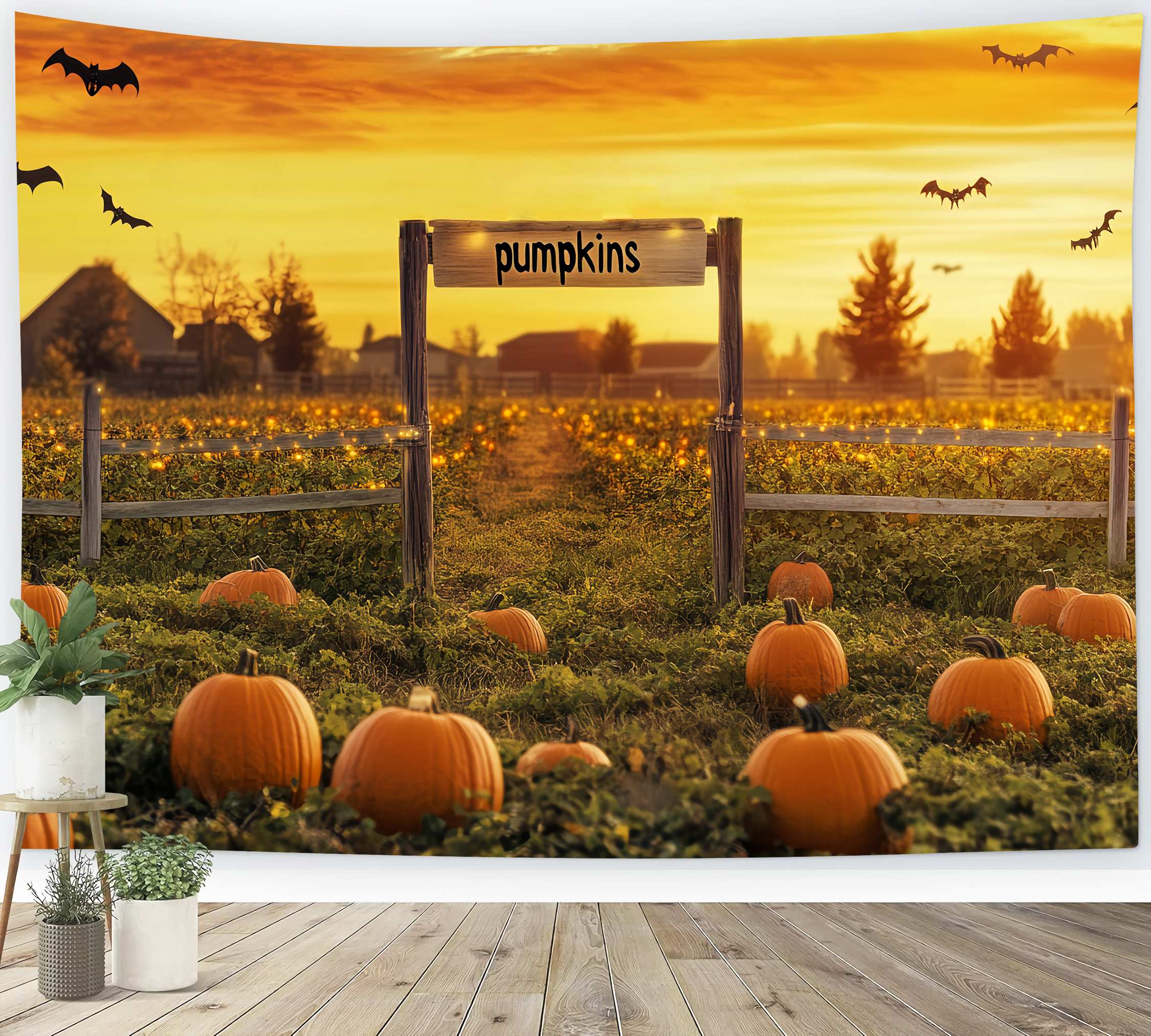 Fond Photo Automne Chauves-Souris Coucher Soleil Champ Citrouilles LXX58-164
