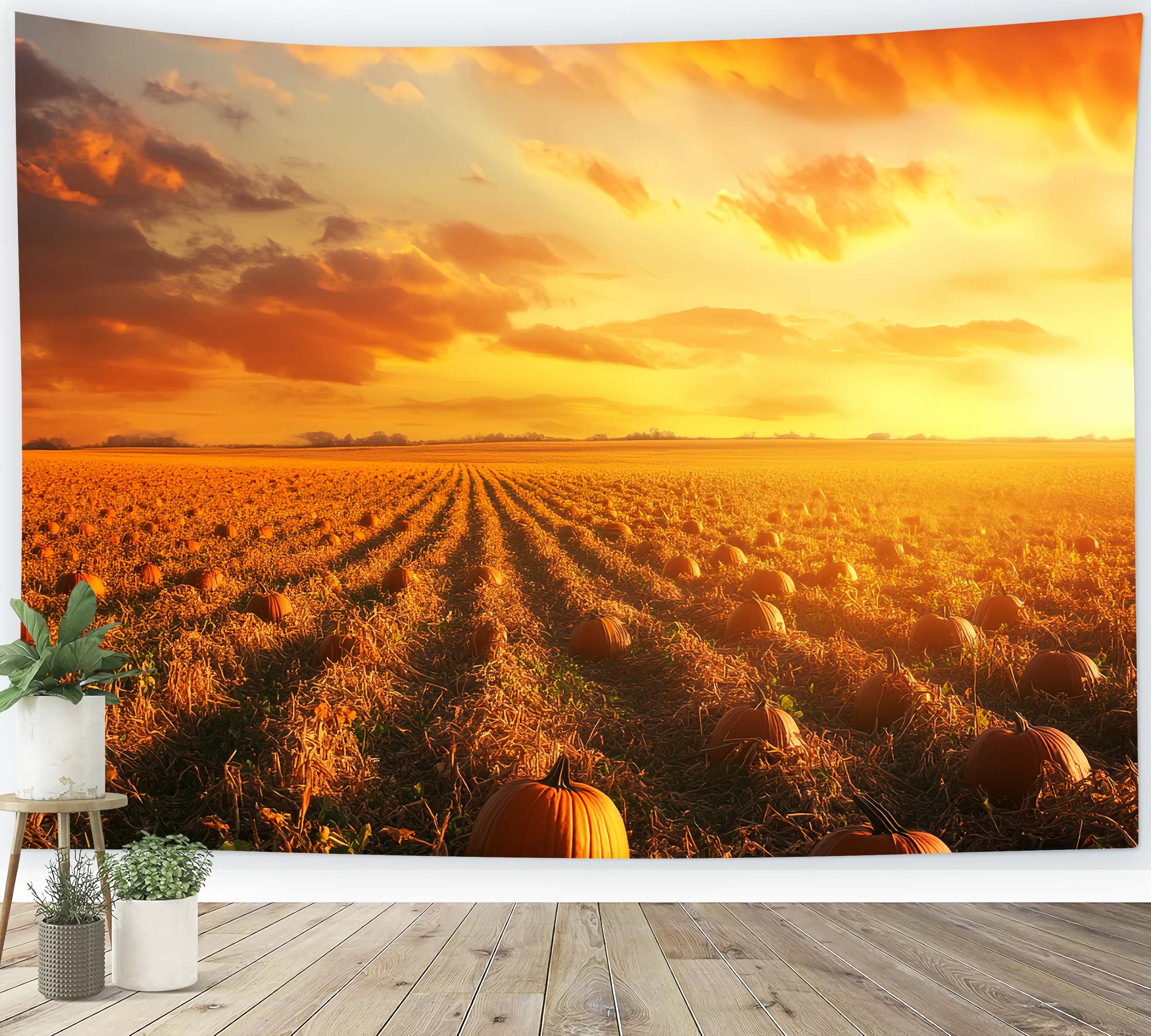 Fond Photo Automne Rangées Citrouilles Horizon Lumineux LXX58-167