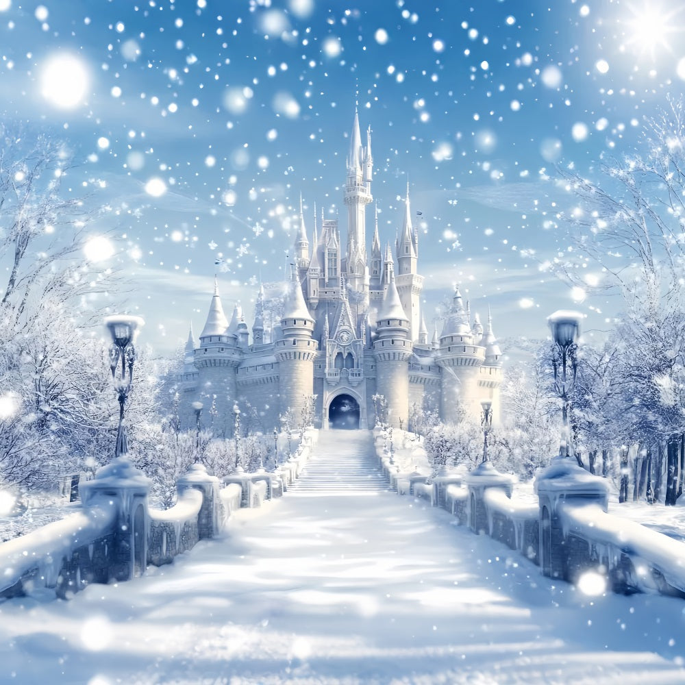Toile de fond Hiver Château Givré Éclat Fantastique CSH58-225