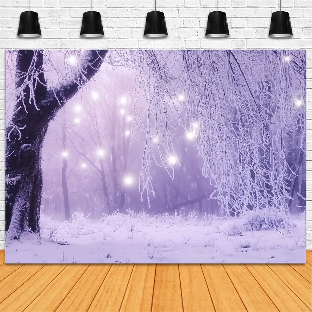Toile de fond Hiver Forêt Enchantée Lumières Glacées CSH58-226
