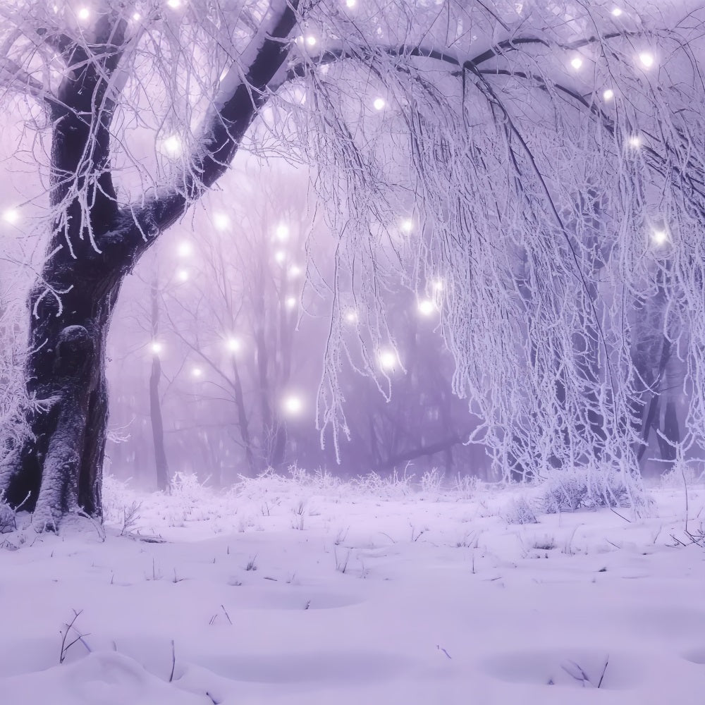 Toile de fond Hiver Forêt Enchantée Lumières Glacées CSH58-226