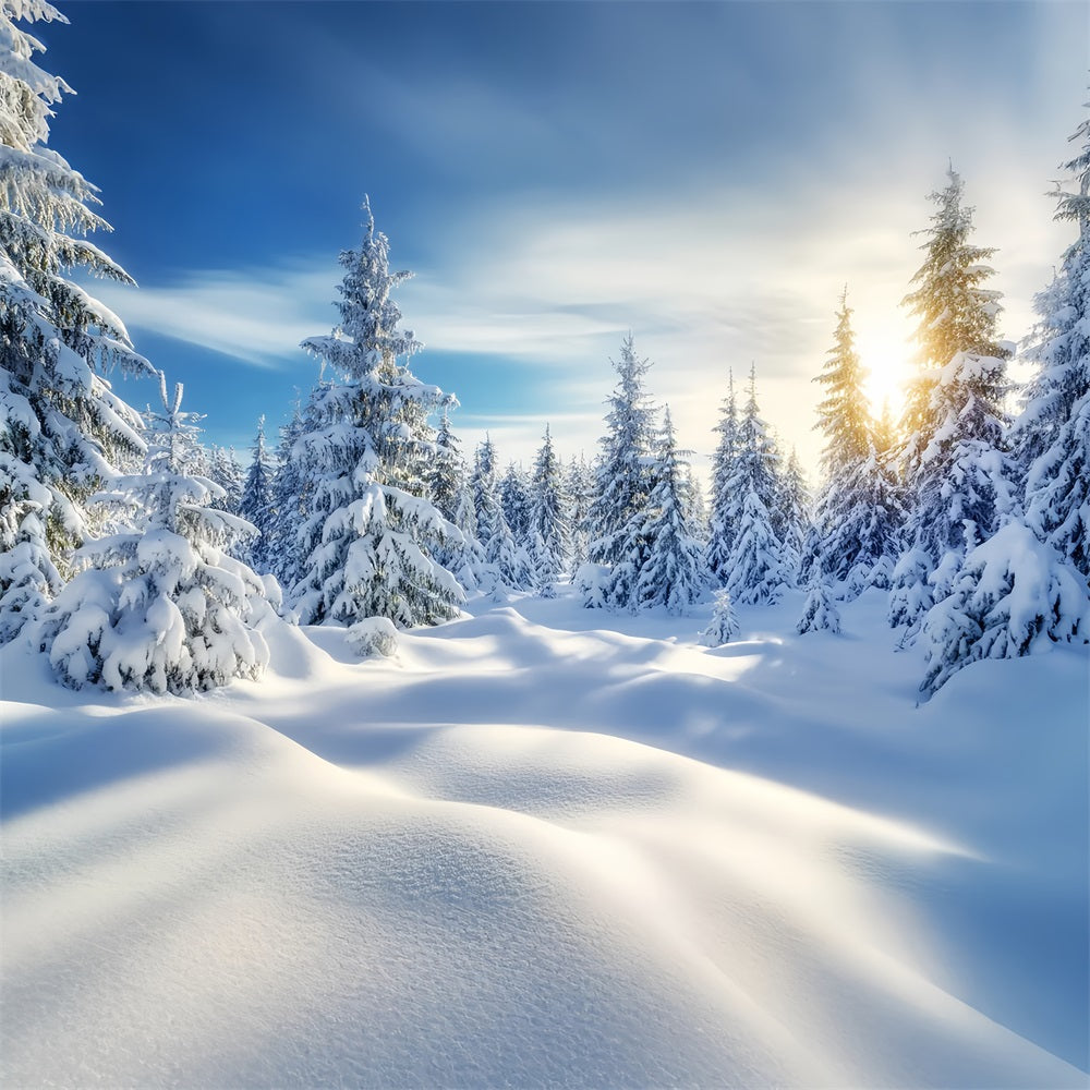 Toile de fond Hiver Lever de Soleil Doré Forêt Enneigée CSH58-239