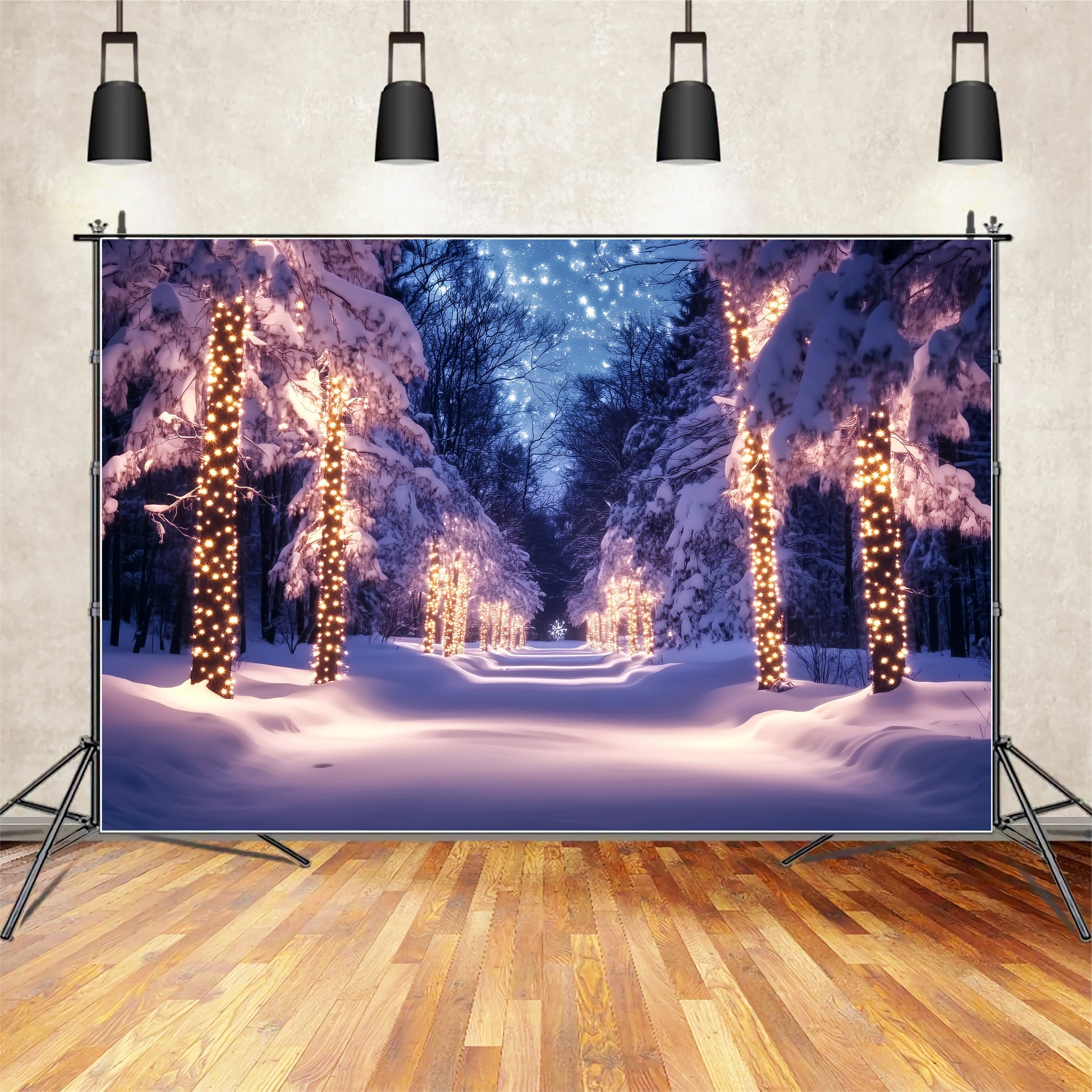 Toile de fond Hiver Chemin Enneigé Lumières Dorées CSH58-241