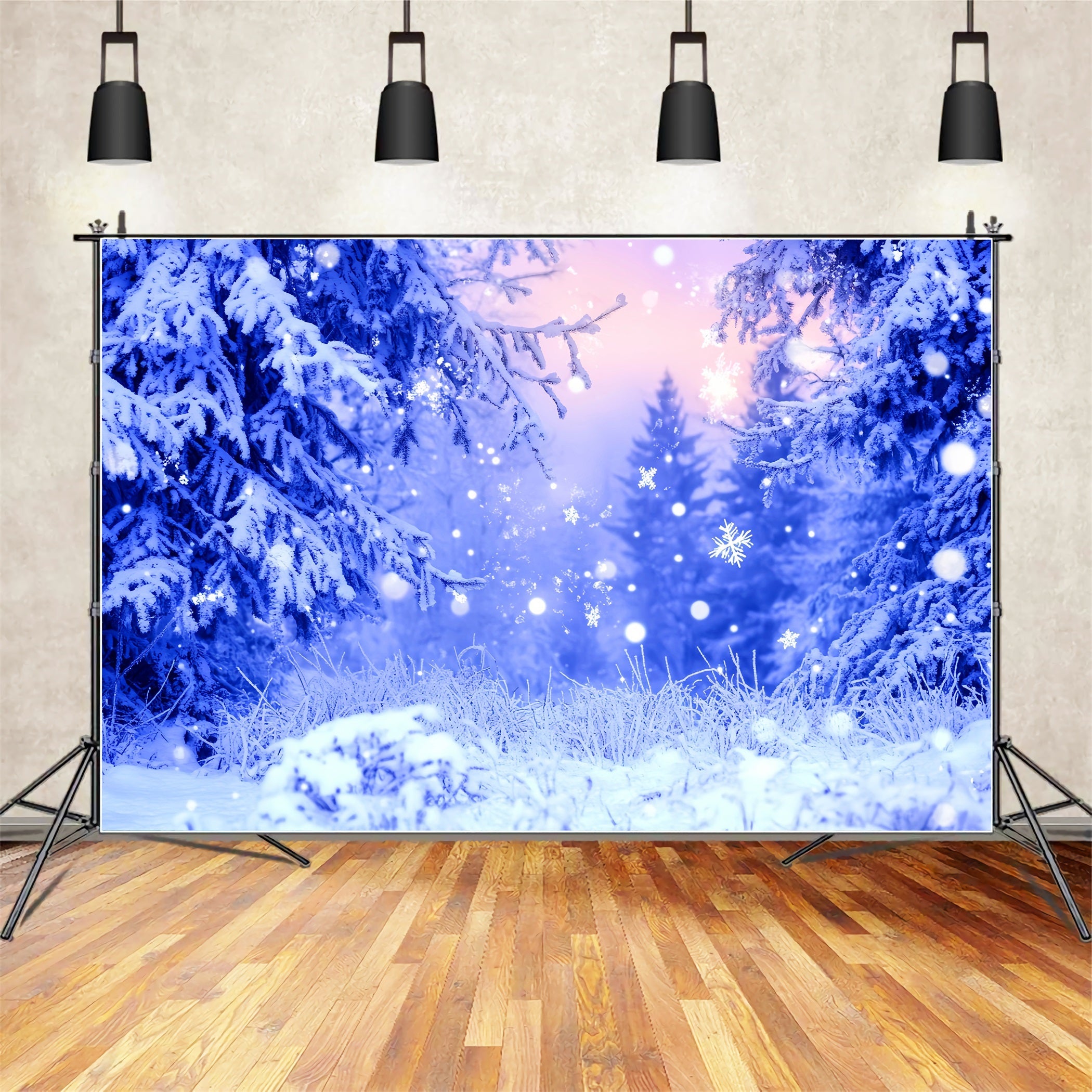 Toile de fond Photo Hiver Givre Bleu Flocons Étincelants CSH58-242