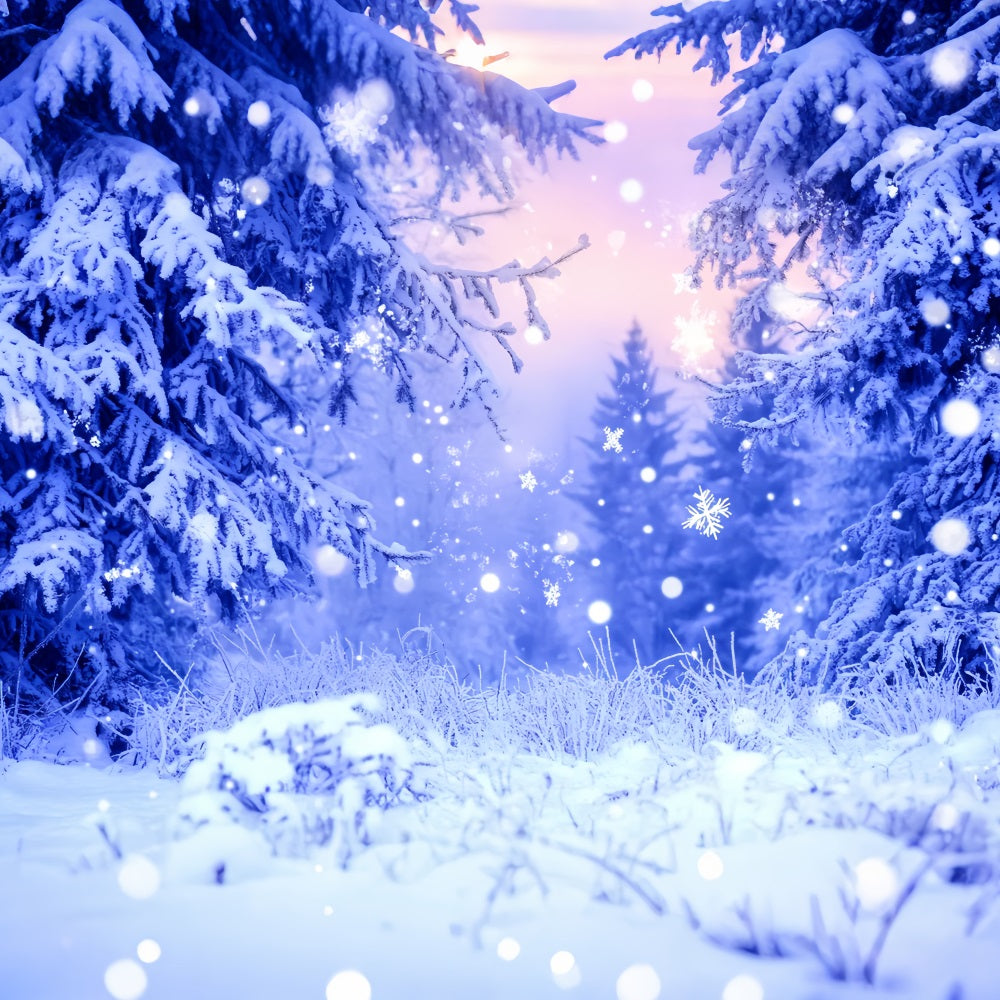 Toile de fond Photo Hiver Givre Bleu Flocons Étincelants CSH58-242