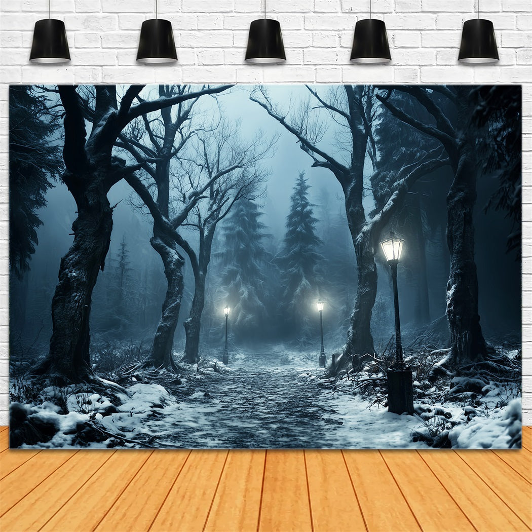 Toile de fond Forêt Hivernale Sentier Neigeux Lueur Lanterne LXX58-274