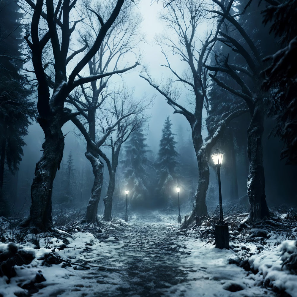 Toile de fond Forêt Hivernale Sentier Neigeux Lueur Lanterne LXX58-274
