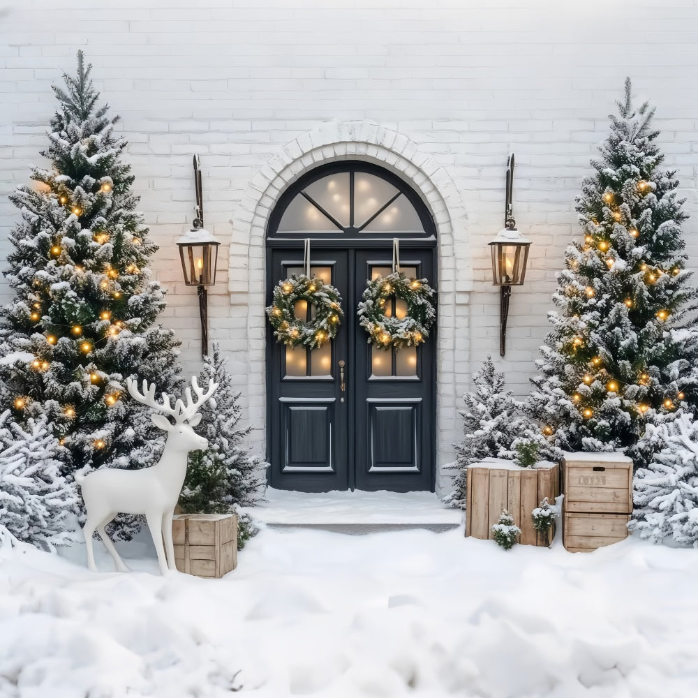 Toile de fond Noël Sapin Couronne Hivernale Pins Givrés Porte LXX59-171