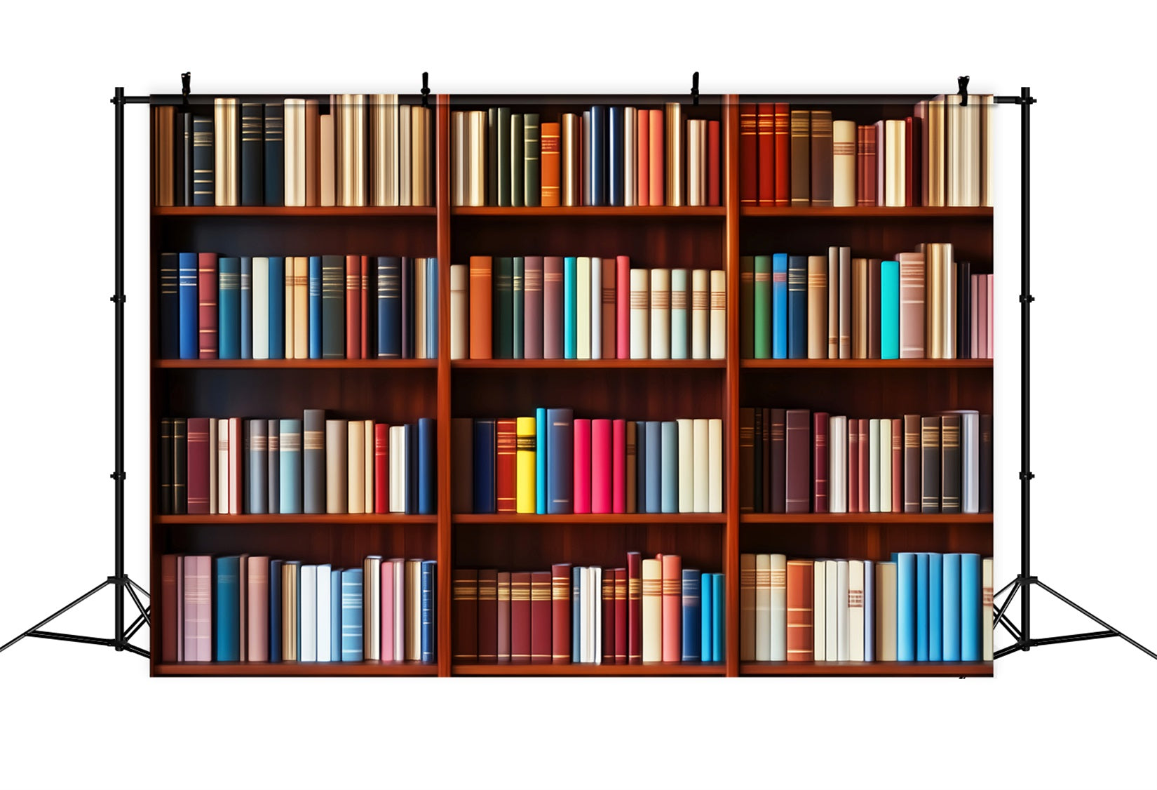 Toile de fond Retour à l'école Étagère Colorée Livres Mur Savoir LXX59-209