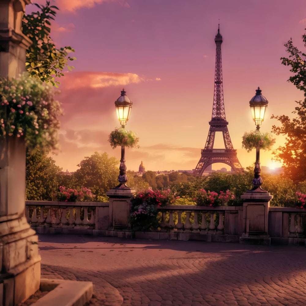 Toile de fond Paris Tour Eiffel Balcon Coucher de Soleil Idées LXX59-40