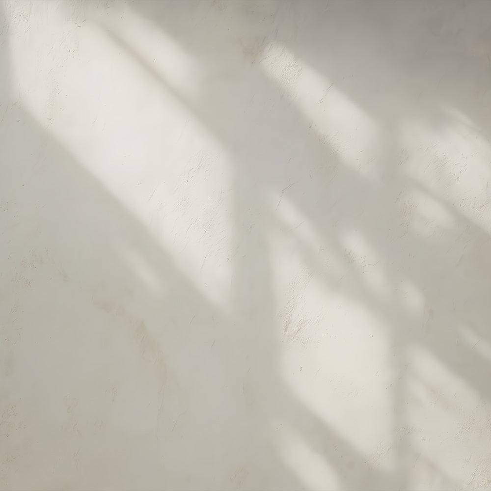 Fond béton Texture murale à ombres douces Fonds pour portraits LXX59-415