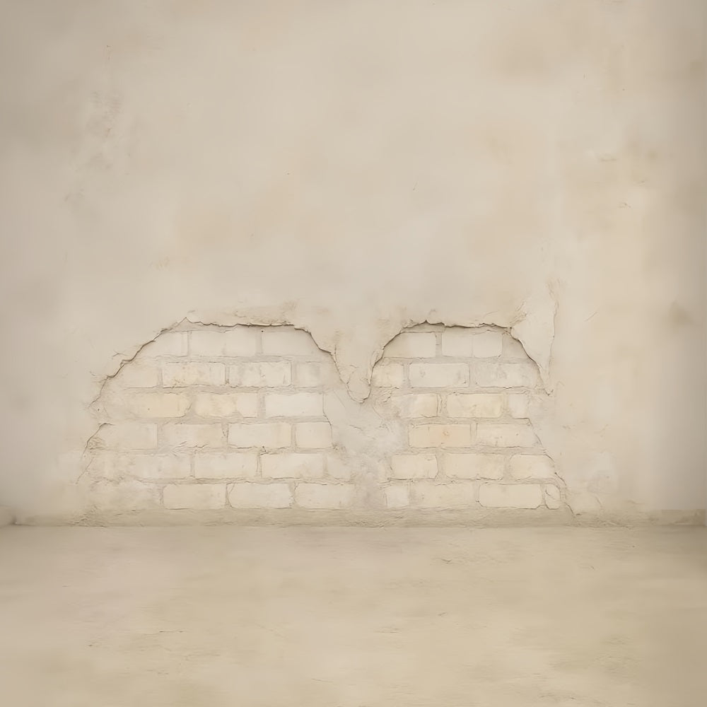 Fond mural en béton Fond pour portraits scolaires avec texture vintage en briques LXX59-422