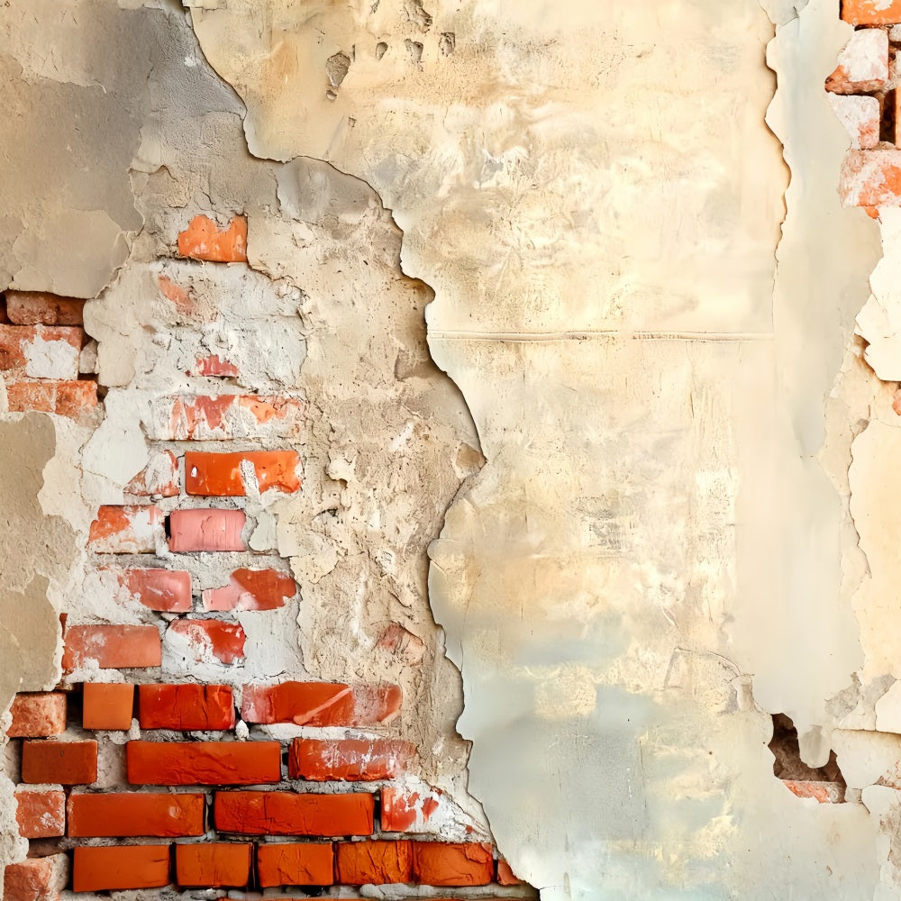 Fond en béton Texture de briques apparentes et de plâtre Fonds pour portraits LXX59-460