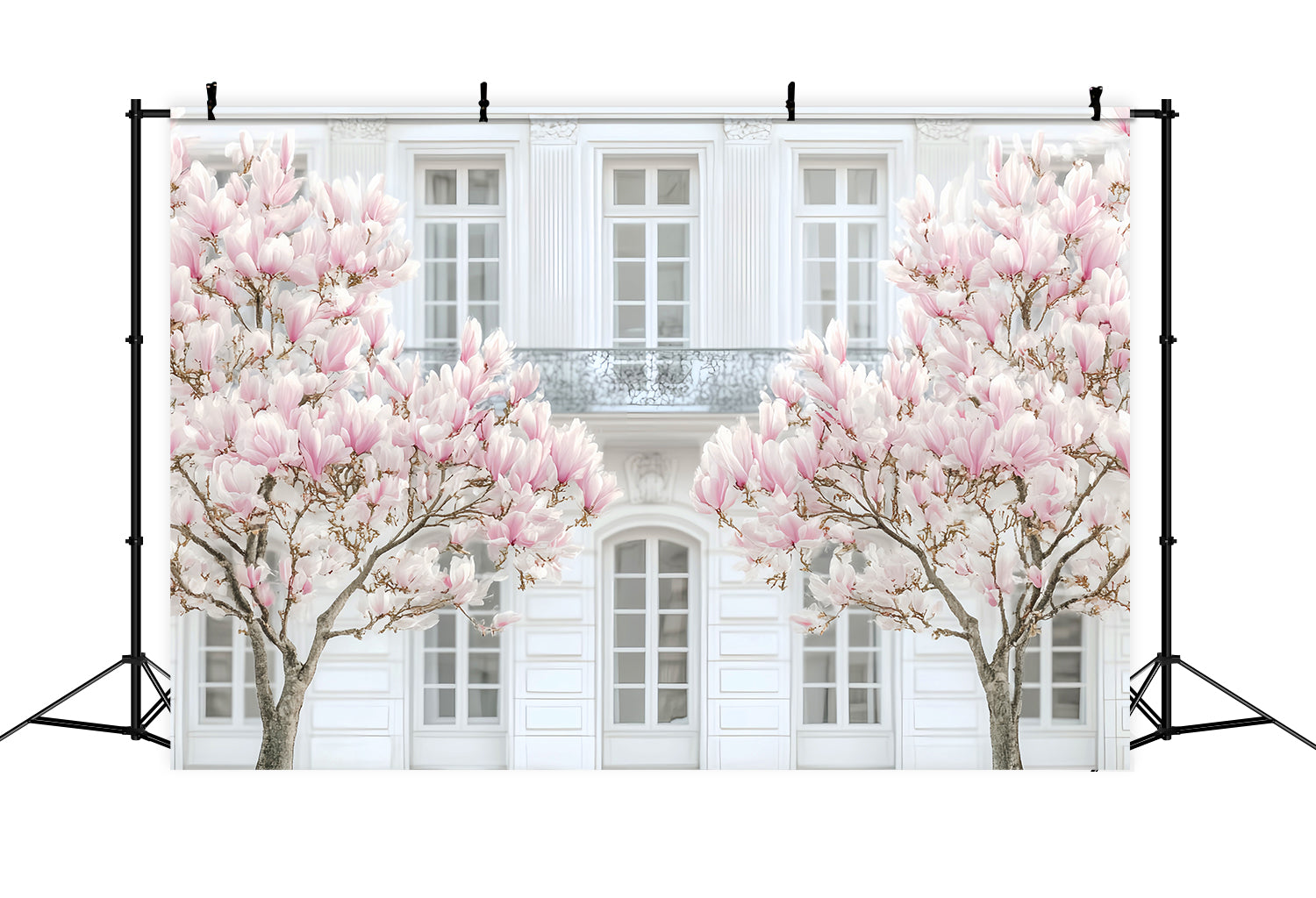 Toile de fond Paris Magnolia Façade Blanche LXX59-48