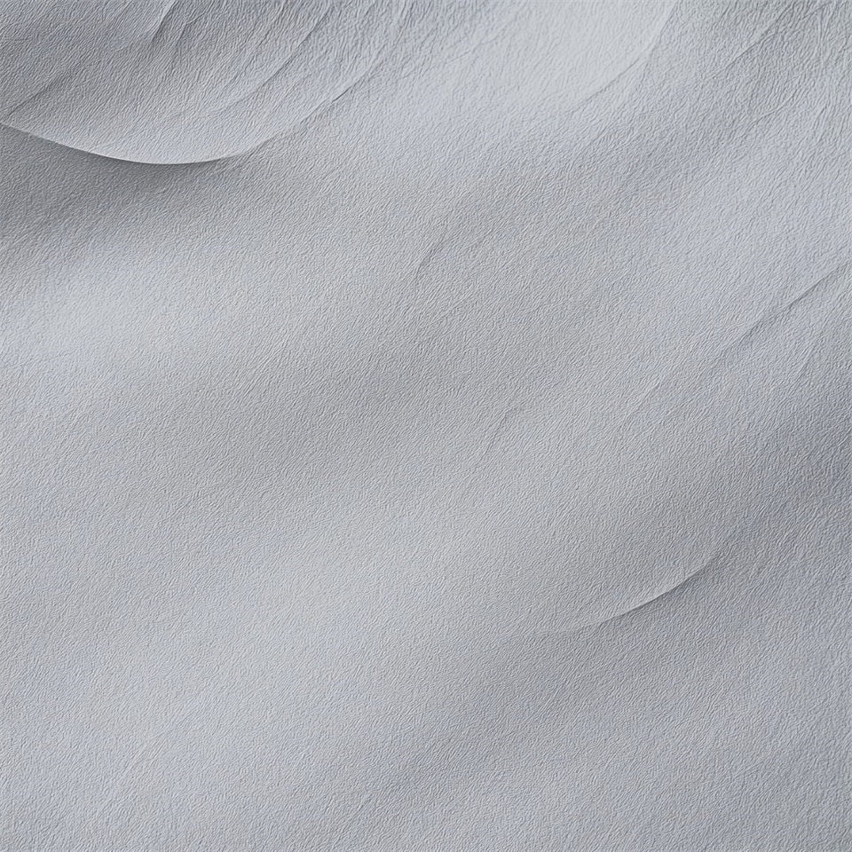 Toile de fond grise pour portrait Toile de fond pour portrait scolaire « Soft Minimal Plaster Texture » LXX61-26