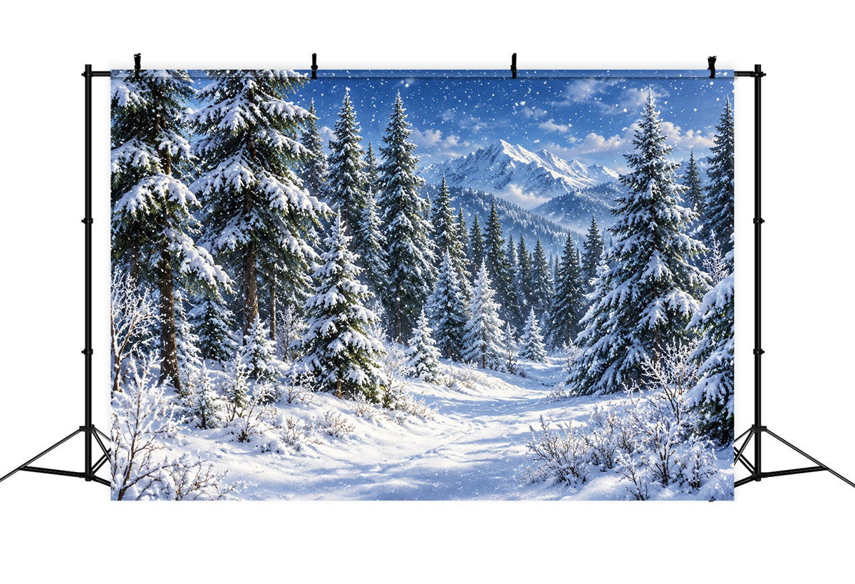 Fond Photo De Noël Sentier Arche Lanternes Enneigées LXX610-173