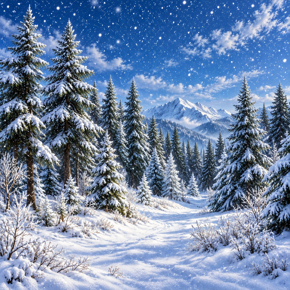 Fond Photo De Noël Sentier Arche Lanternes Enneigées LXX610-173