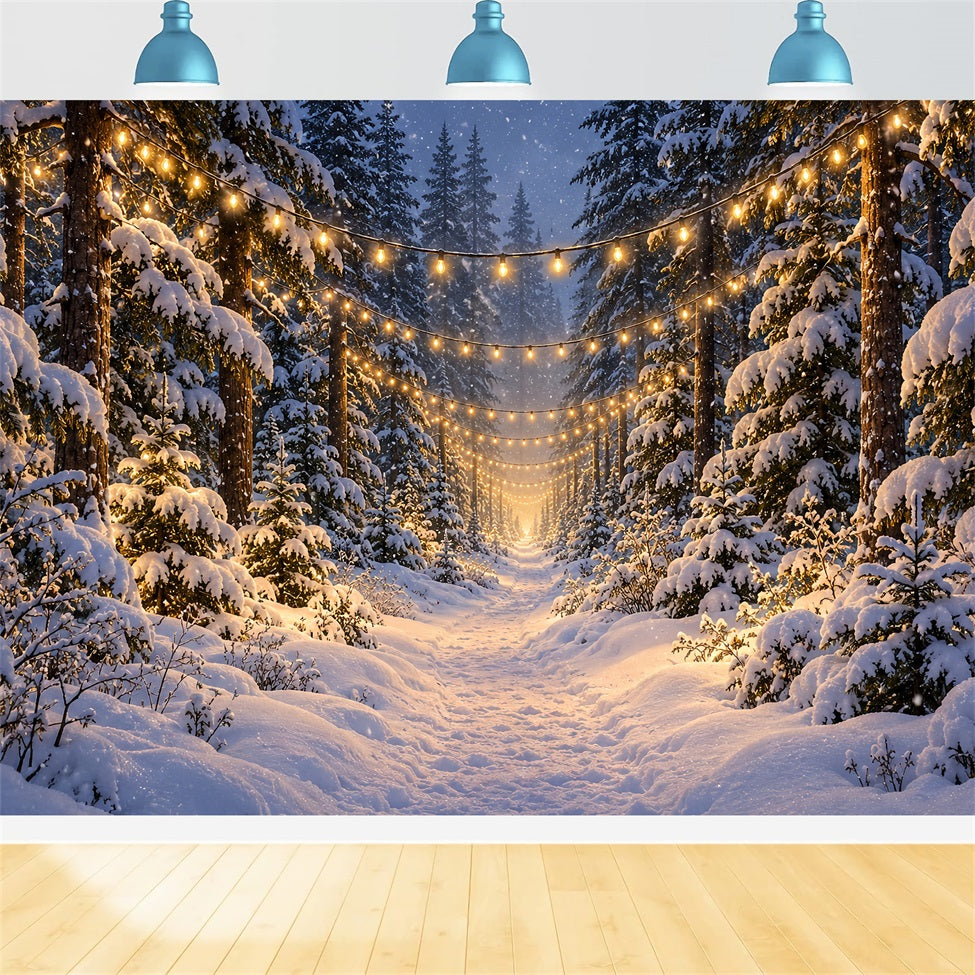Fond De Forêt De Sapins De Noël Sentier Enneigé Lumineux LXX610-180