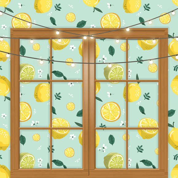 Toile de Fond de Photographie D'été de Fenêtre de Citron M-33
