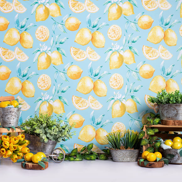 Citron Plantes Décoration Photographie Toile de Fond M-34