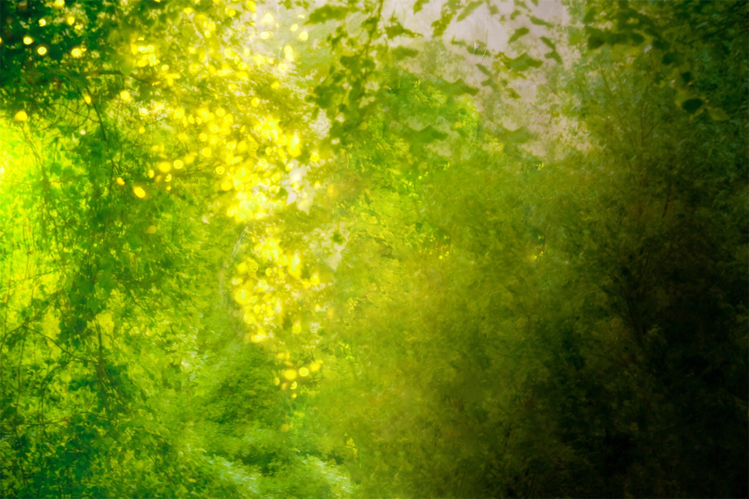 Printemps Art Nuances de vert Entrelacées au soleil Toile de fond M1-61