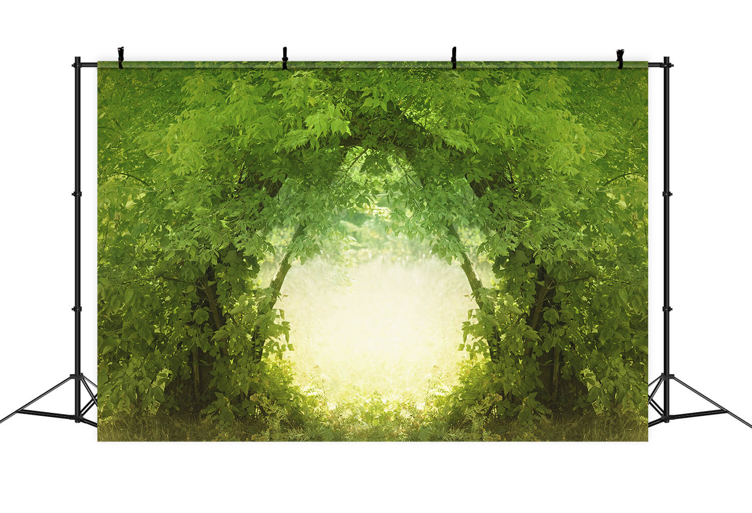 Toile de fond de porte en branches naturelles au cœur d'une forêt dense M1-76