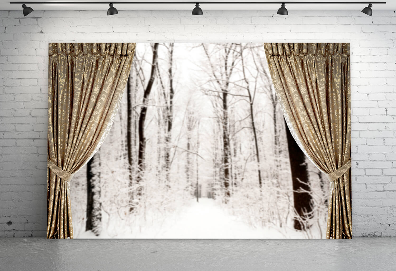 Hiver Neige Fenêtre Vue Rideau Toile de fond M10-03