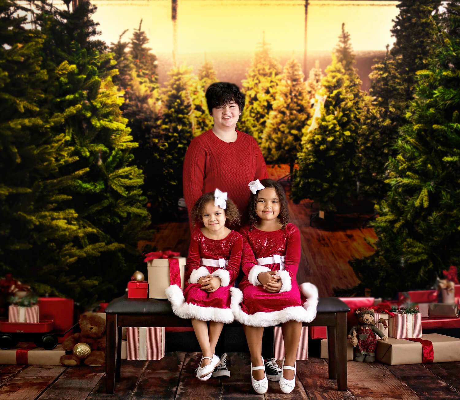 Arbre de Noël Ferme Toile de fond pour la photographie M10-13