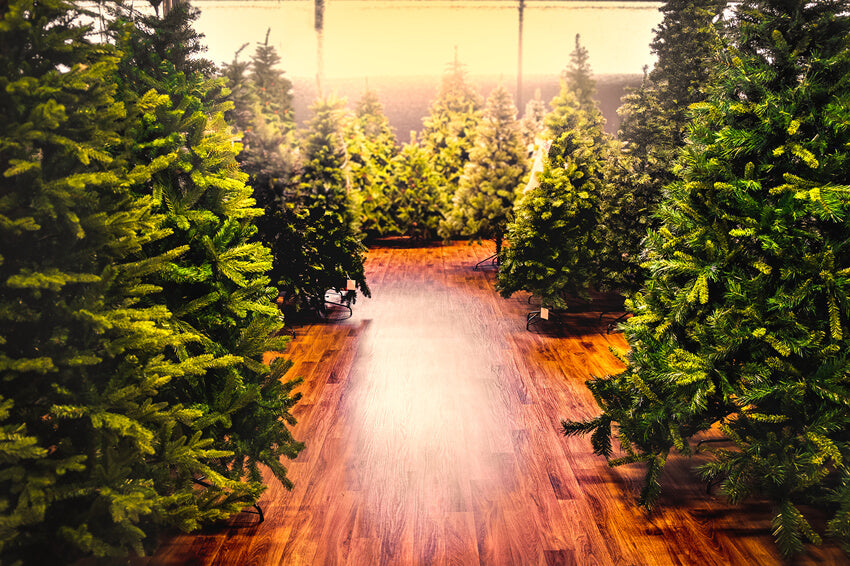 Arbre de Noël Ferme Toile de fond pour la photographie M10-13