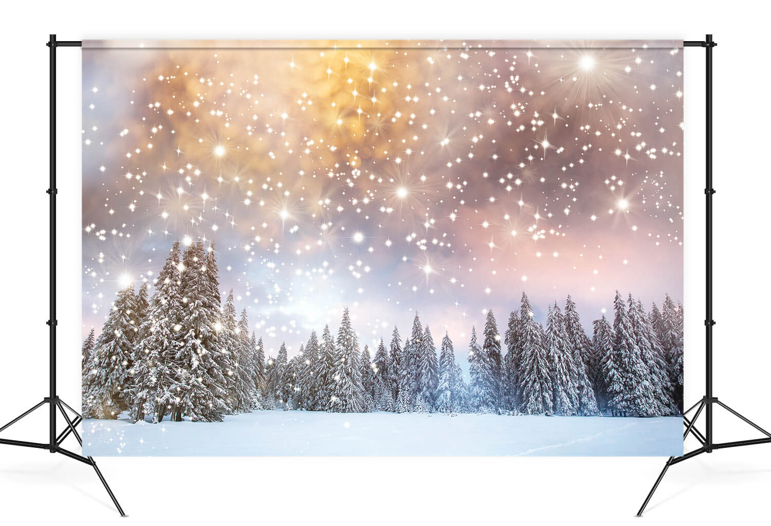 Neige Hiver Sapins Étoiles scintillantes Toile de fond M10-15