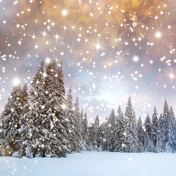 Neige Hiver Sapins Étoiles scintillantes Toile de fond M10-15