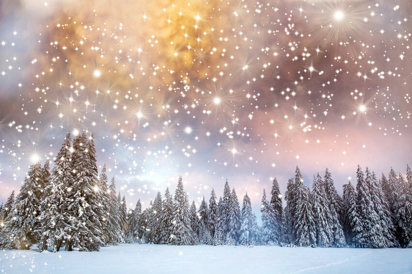 Neige Hiver Sapins Étoiles scintillantes Toile de fond M10-15