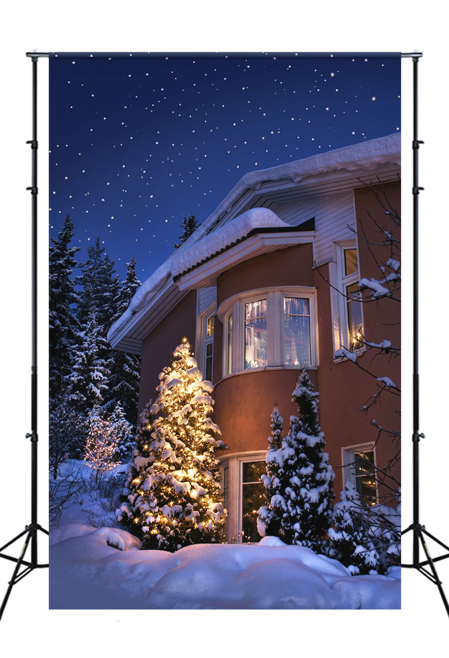 Soirée de Noël Hiver Maison enneigée Toile de fond M10-18