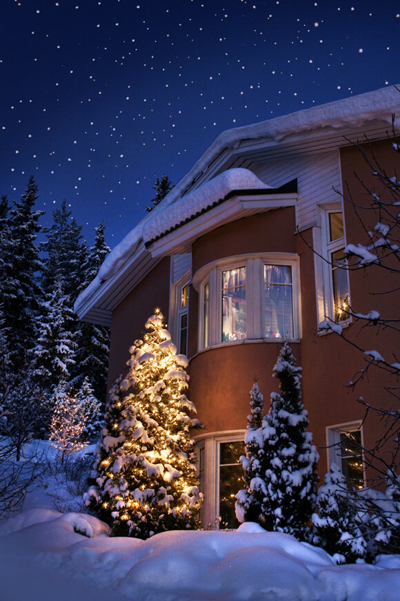Soirée de Noël Hiver Maison enneigée Toile de fond M10-18