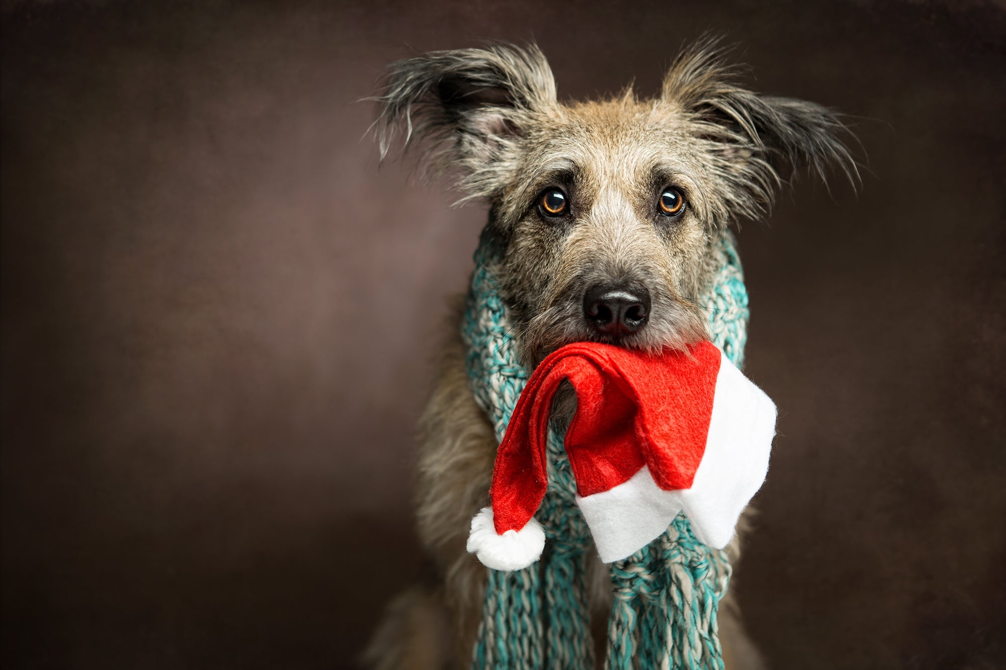 Vintage Marron Abstrait Texturé Toile de fond pour portrait M10-36