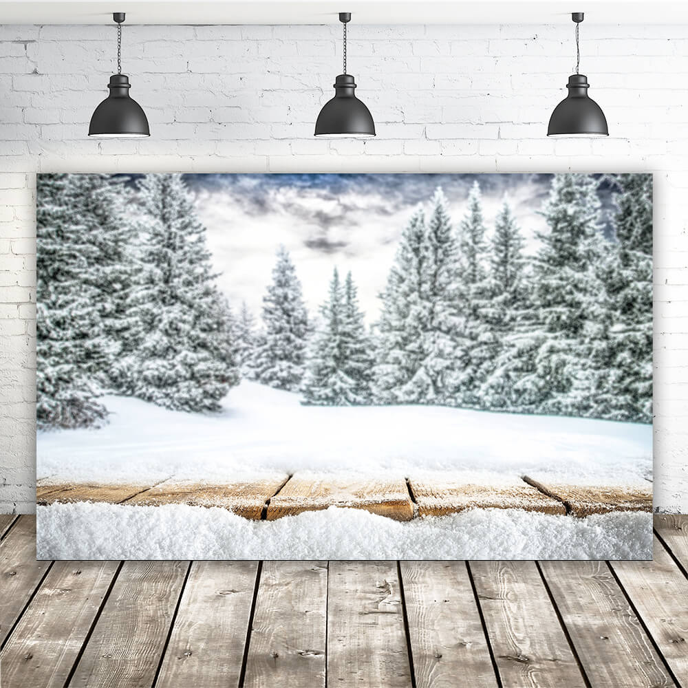Montagne Hiver Forêt Scène de neige Toile de fond M10-44