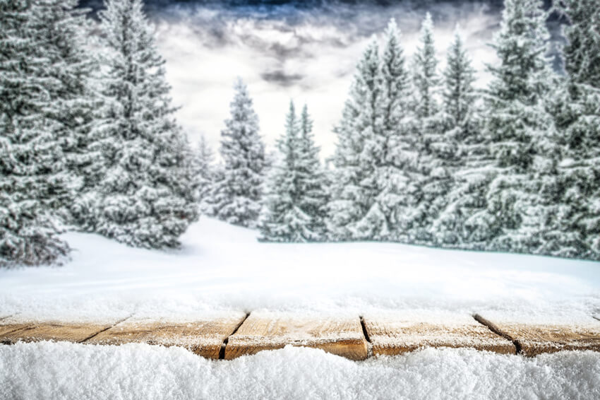 Montagne Hiver Forêt Scène de neige Toile de fond M10-44