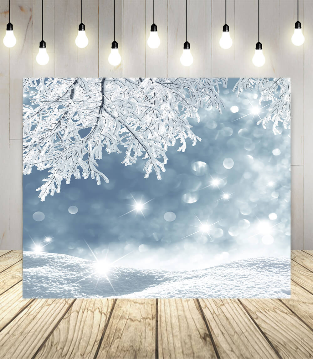 Flocon de neige hivernal gelé Toile de fond paysagère M10-49