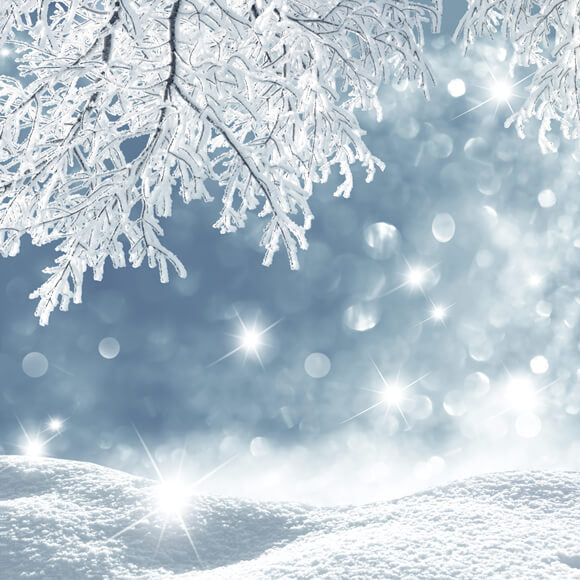Flocon de neige hivernal gelé Toile de fond paysagère M10-49