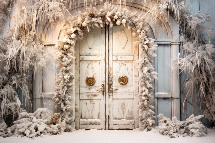 Porte Rustique Hiver Noël Toile de fond photo M10-60