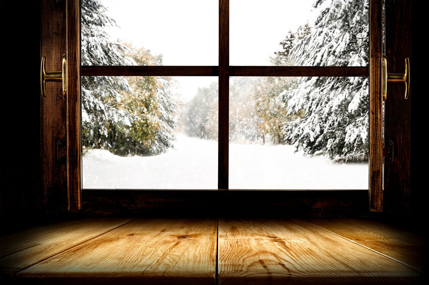 Hiver Forêt enneigée Fenêtre de vue Toile de fond M10-65