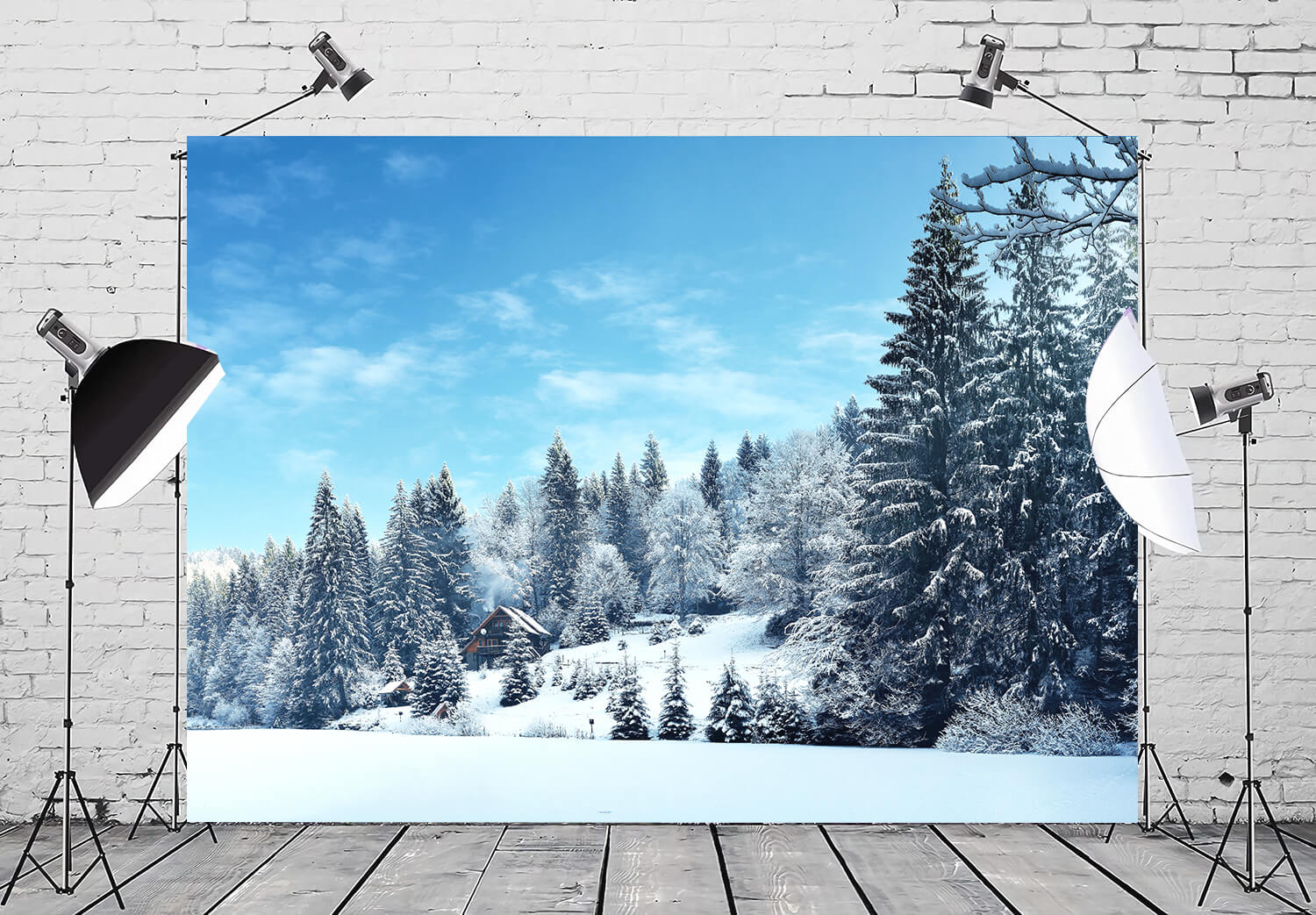 Hiver Pin Forêt Neige Paysage Toile de fond M10-66