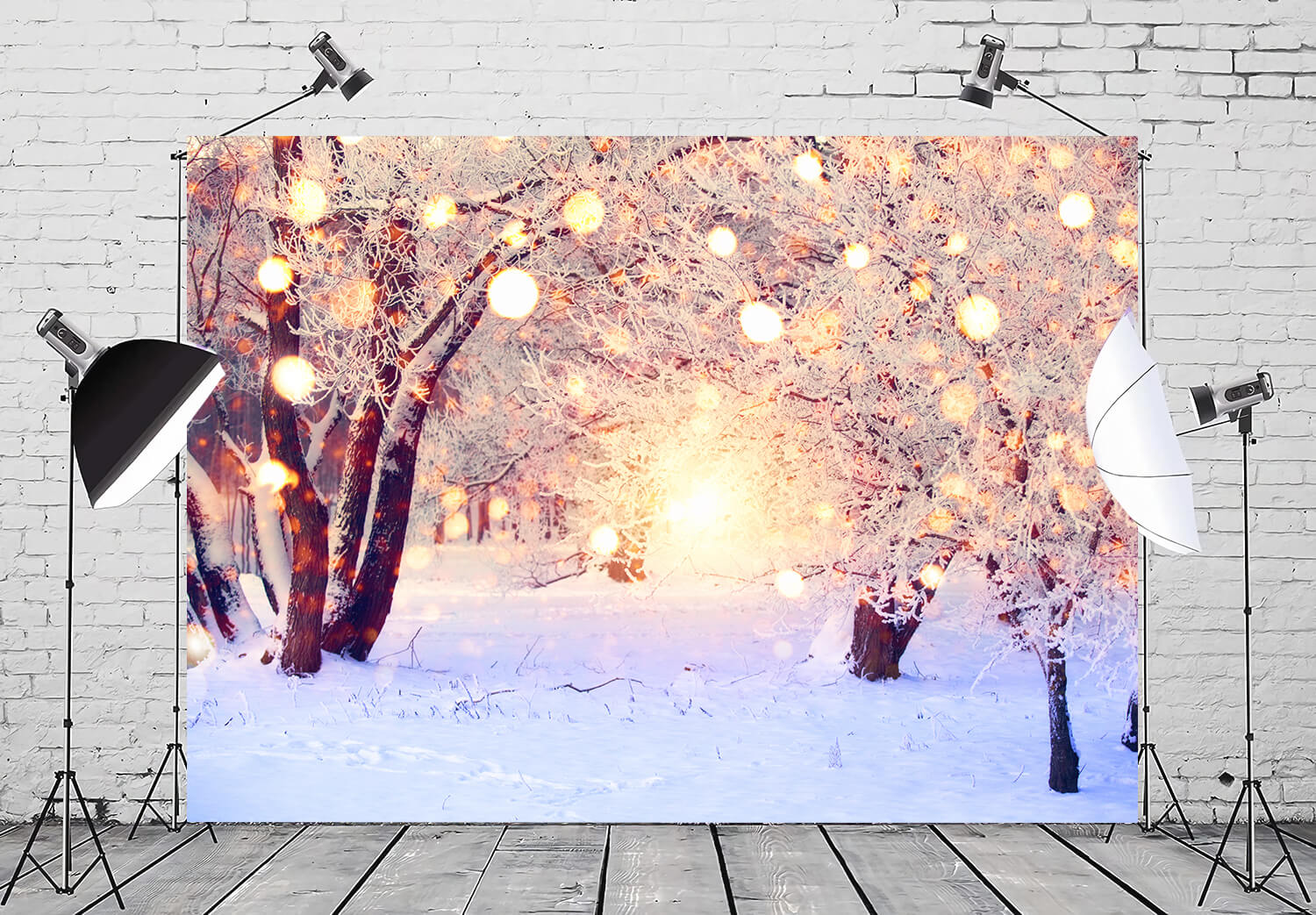 Hiver Neige Paillettes Lumières Toile de fond Photographie M10-71