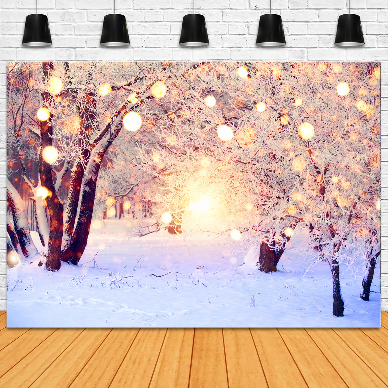 Hiver Neige Paillettes Lumières Toile de fond Photographie M10-71