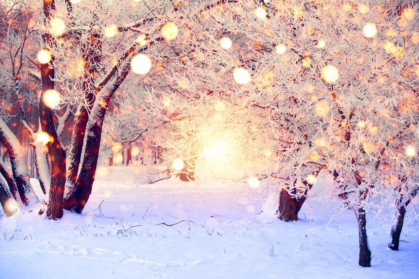 Hiver Neige Paillettes Lumières Toile de fond Photographie M10-71