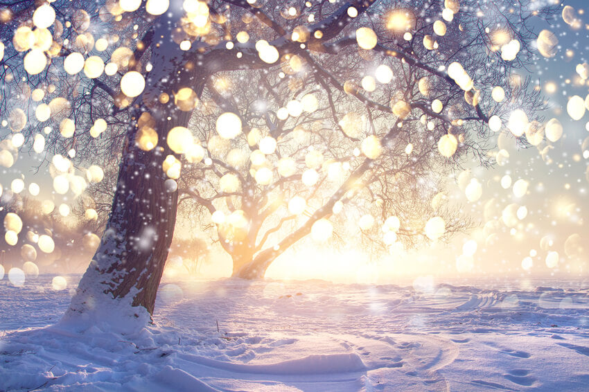 Flocon Paillettes Arbre Neige Hiver Toile de fond M10-72