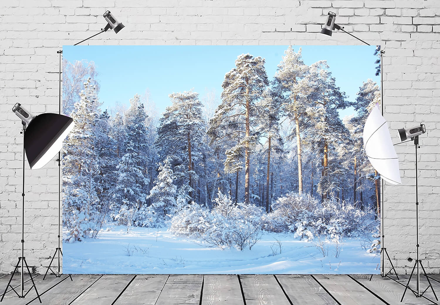 Hiver Forêt de Pins Neige Paysage Toile de fond M10-73