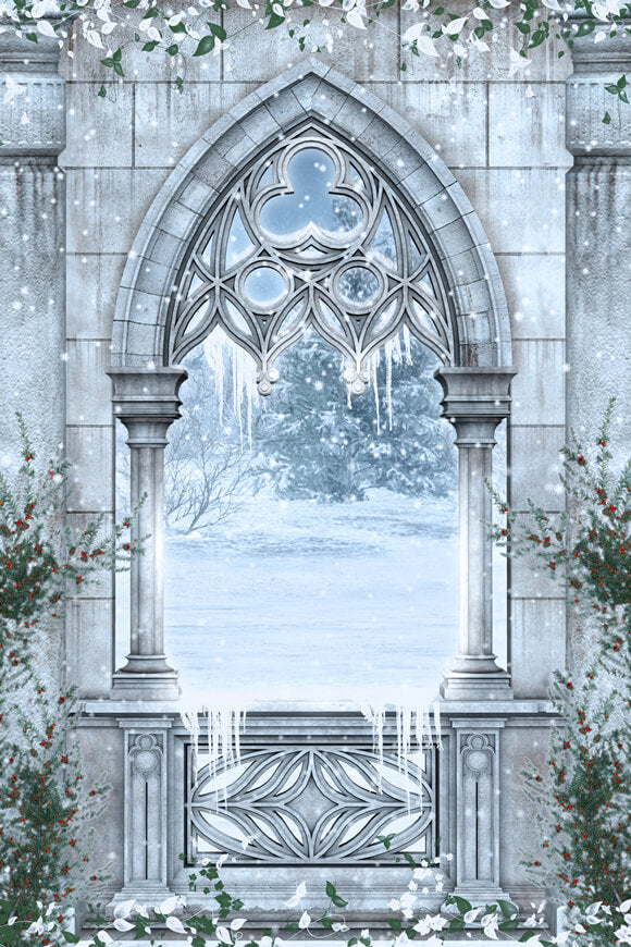 Hiver Enneigé Féerie Jardin Fenêtre Toile de fond M11-01